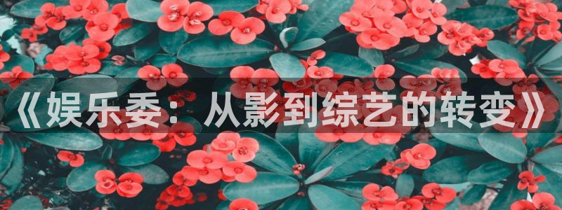 聚富welcome零能源集团