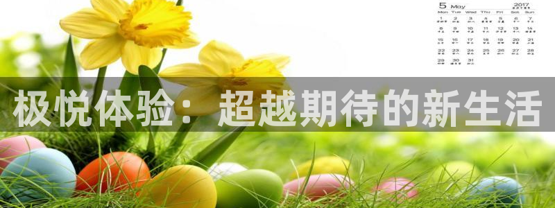聚富welcome2平台注册：极悦体验：超越期待的新生活