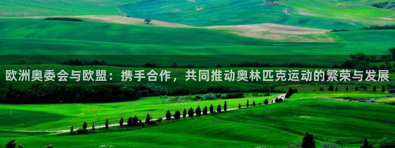 聚富welcome体育合法嘛：欧洲奥委会与欧盟：携手合作，共同推动奥林匹克运动的