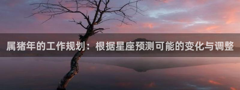 聚富welcome平台在线注册：属猪年的工作规划：根据星座预测可能的变化与调整