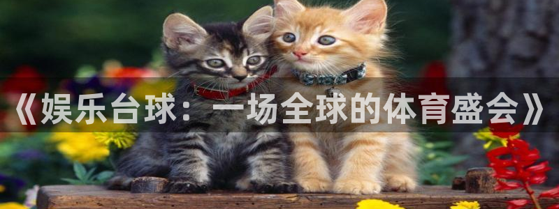 聚富welcome平台：《娱乐台球：一场全球的体育盛会》