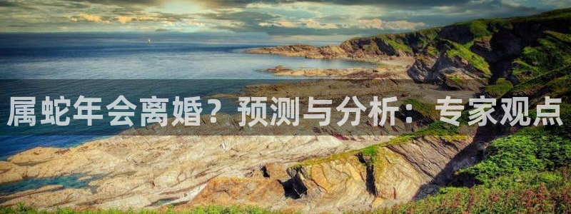 聚富welcome体育平台登录入口：属蛇年会离婚？预测与分析：专家观点