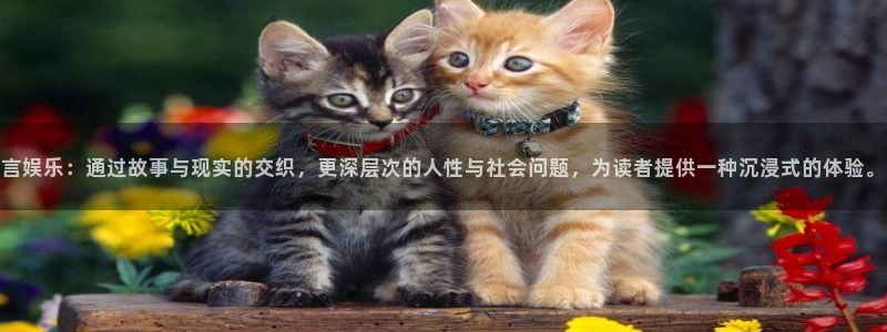 聚富welcome凯捷平台：言娱乐：通过故事与现实的交织，更深层次的人性与社会问