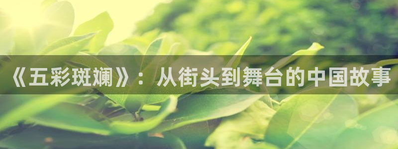 聚富welcome体育凯捷平台主管：《五彩斑斓》：从街头到舞台的中国故事