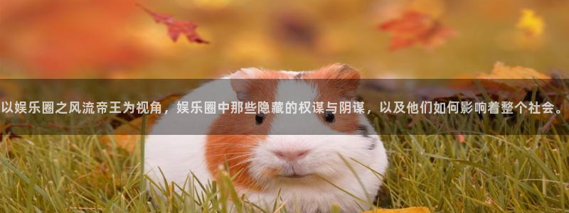 德国聚富welcome集团：以娱乐圈之风流帝王为视角，娱乐圈中那些隐藏的权谋与阴