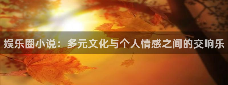 聚富welcome体育平台开号链接：娱乐圈小说：多元文化与个人情感之间的交响乐