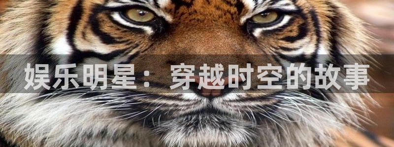 聚富welcome集团总部：娱乐明星：穿越时空的故事