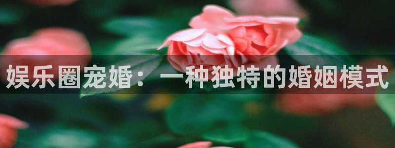 聚富welcome体育3在线注册：娱乐圈宠婚：一种独特的婚姻模式