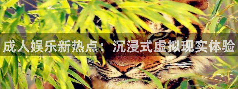 聚富welcome凯捷平台注册链接：成人娱乐新热点：沉浸式虚拟现实体验