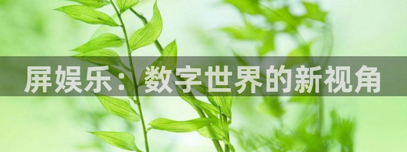 聚富welcome体育凯捷平台注册：屏娱乐：数字世界的新视角