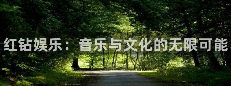 聚富welcome体育平台登录入口：红钻娱乐：音乐与文化的无限可能