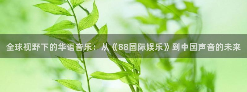 聚富welcome平台：全球视野下的华语音乐：从《88国际娱乐》到中国声音的未来