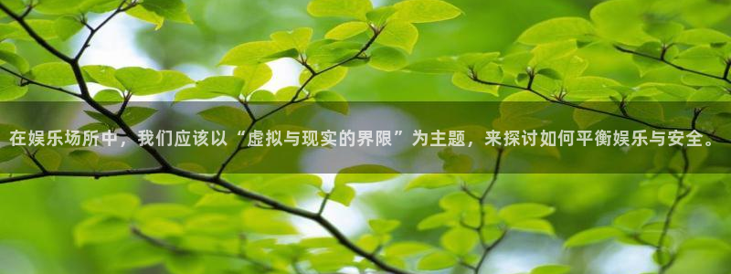 聚富welcome体育平台开号链接：在娱乐场所中，我们应该以“虚拟与现实的界限”