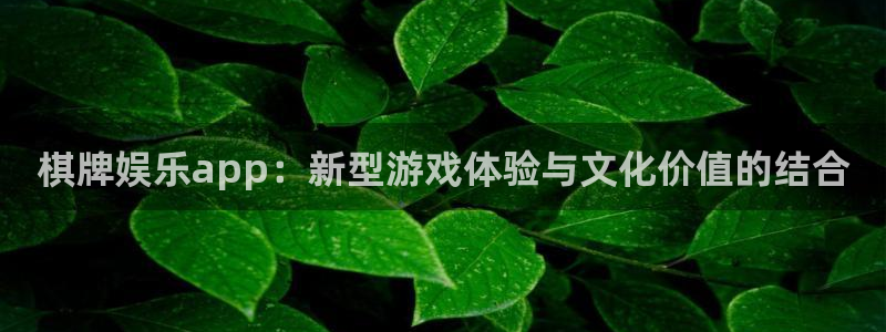 聚富welcome3平台登录注册：棋牌娱乐app：新型游戏体验与文化价值的结合