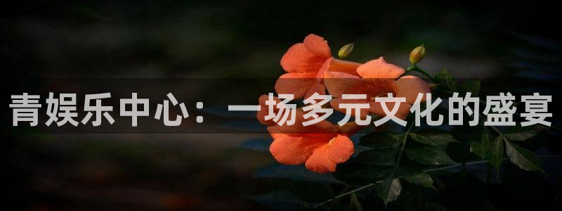 聚富welcome：青娱乐中心：一场多元文化的盛宴
