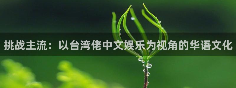 聚富welcome3平台登录注册：挑战主流：以台湾佬中文娱乐为视角的华语文化