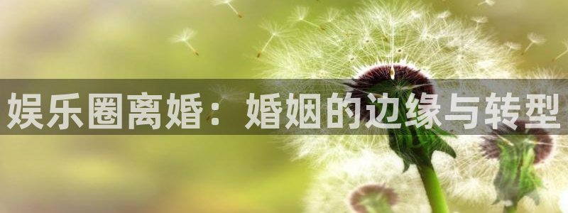聚富welcome2登录：娱乐圈离婚：婚姻的边缘与转型