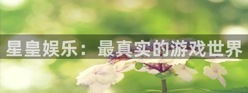 聚富welcome体育app下载：星皇娱乐：最真实的游戏世界
