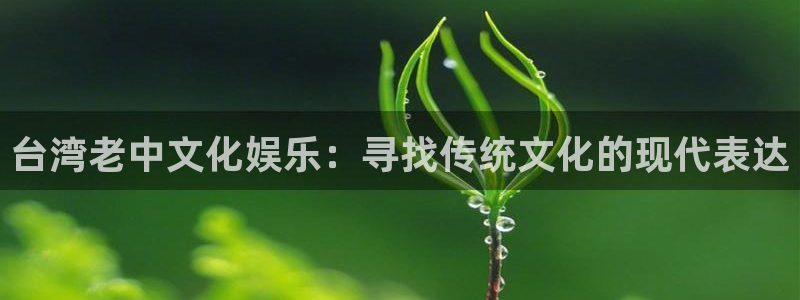 聚富welcome4代理：台湾老中文化娱乐：寻找传统文化的现代表达