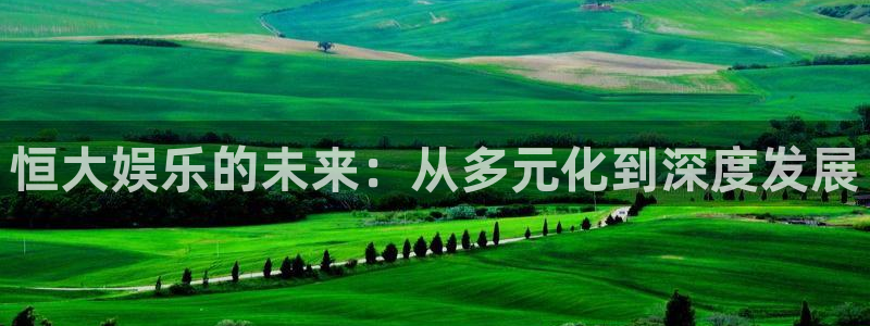 聚富welcome4官网：恒大娱乐的未来：从多元化到深度发展