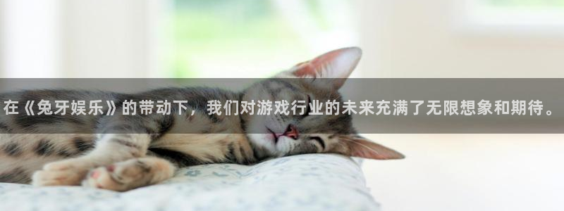 聚富welcome4平台：在《兔牙娱乐》的带动下，我们对游戏行业的未来充满了无限