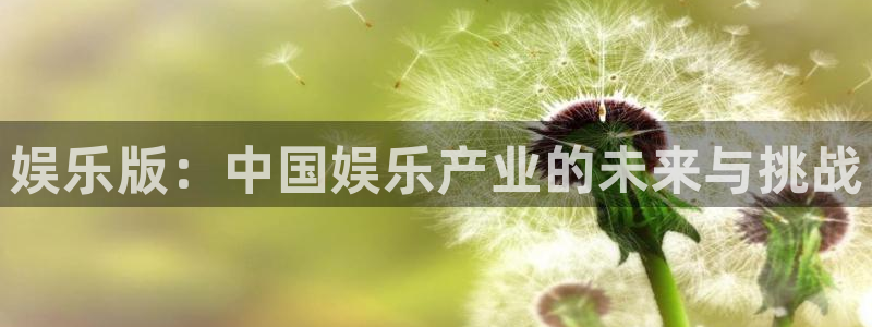 聚富welcome体育注册登录入口：娱乐版：中国娱乐产业的未来与挑战