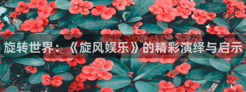 聚富welcome平台注册入口：旋转世界：《旋风娱乐》的精彩演绎与启示