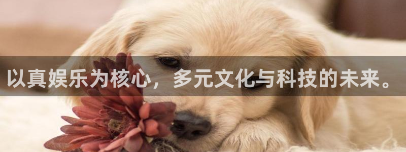 成都聚富welcome电子有限公司：以真娱乐为核心，多元文化与科技的未来。