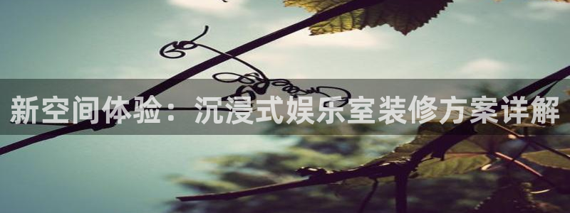 聚富welcome体育平台登录入口：新空间体验：沉浸式娱乐室装修方案详解
