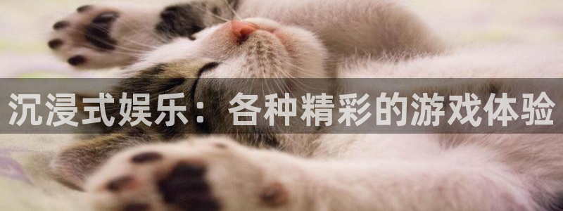聚富welcome集团官网：沉浸式娱乐：各种精彩的游戏体验